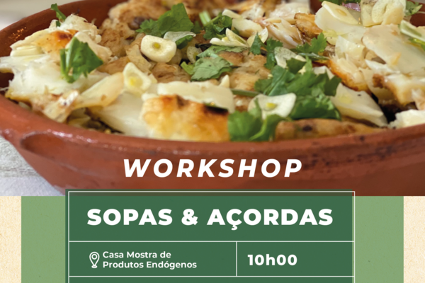 workshop_sopas_acordas_03