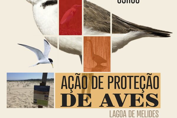 acao_e_protecao_de_aves