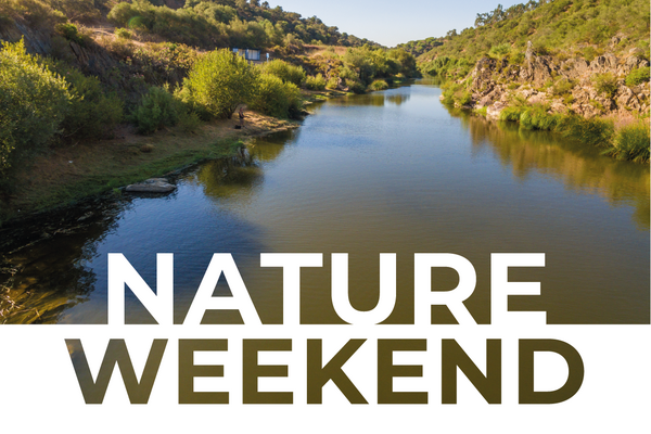 cartaz_a4___nature_weekend__23_01