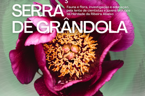 cartaz_exposicao_30_anos_hra___19fev2024