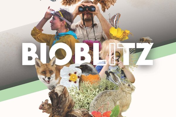 cartaz_bioblitz_hra_pagina_1