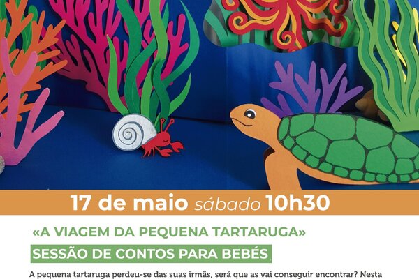 a_viagem_da_pequena_tartaruga_insta_prancheta_1
