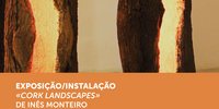biblioteca_exposicao_cork_landscape_01
