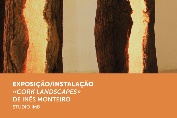 biblioteca_exposicao_cork_landscape_01