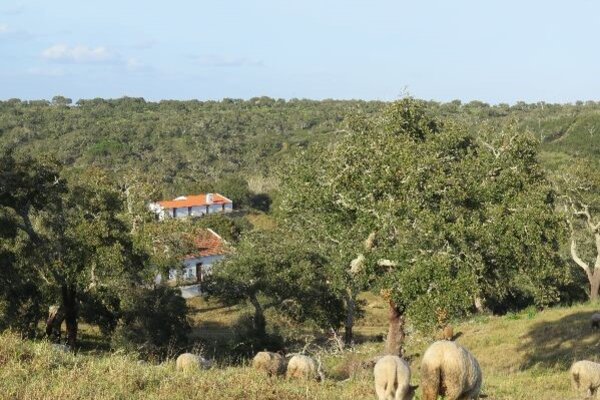 herdade_ribeira_abaixo
