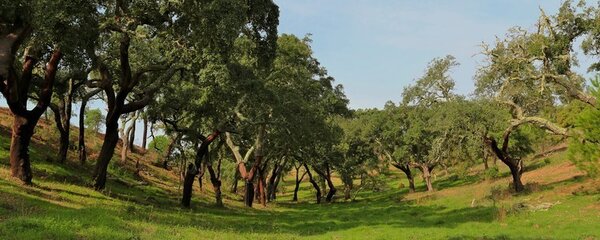 serra_de_gr_ndola19_1_760_1000_1_1024_2500
