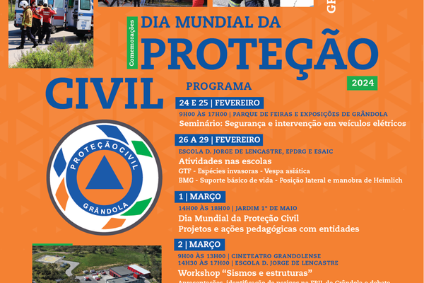 cartaz___dia_mundial_da_protecao_civil