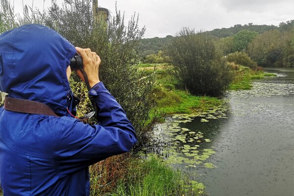 introducao_ao_birdwatching___rio_sado__11_