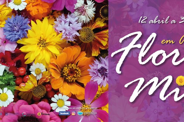 bannerflores26_150dpi_01