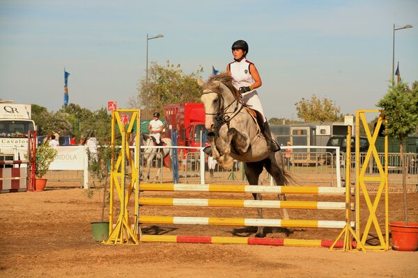 Hipismo_-_18__Festival_H_pico_-_Feira_de_Agosto138