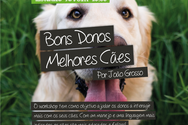 experimentaDonosCaes-01