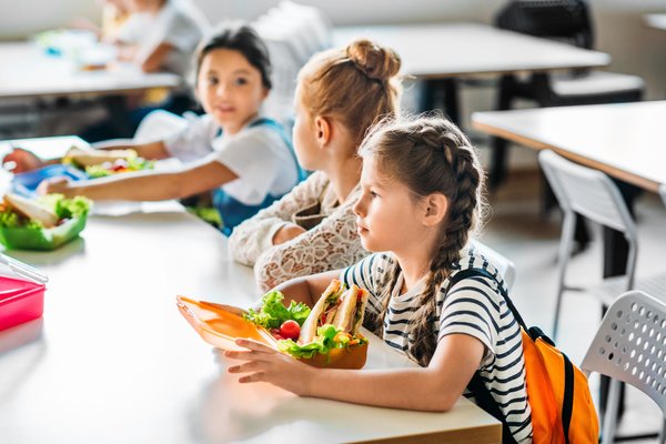 Concurso Público - Adjudicação do serviço de fornecimento de refeições escolares