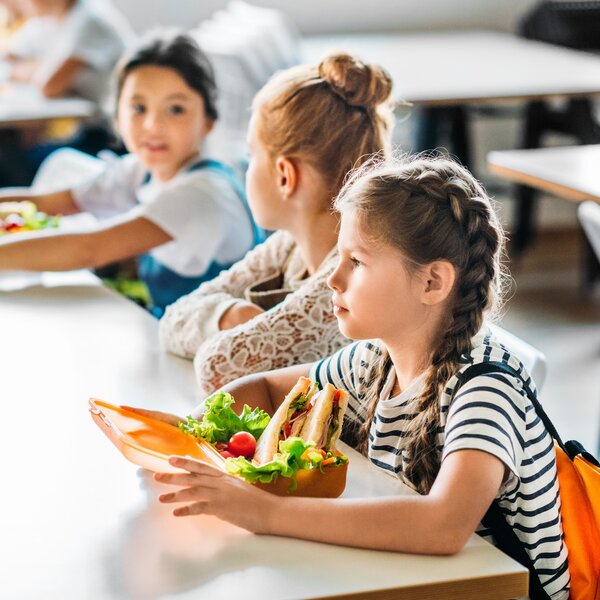 Concurso Público - Adjudicação do serviço de fornecimento de refeições escolares