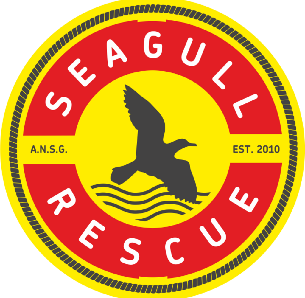 2 seagull 1 1024 1000