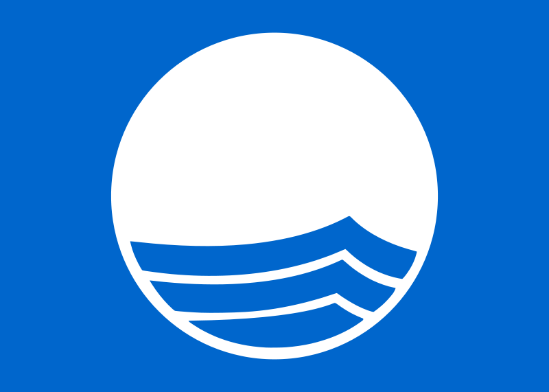 800px_blue_flag_logo_svg