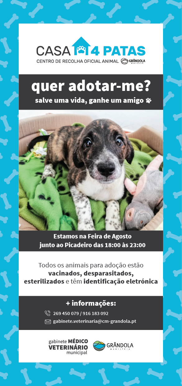 Flyer campanhaadocao 01 1 1024 2500