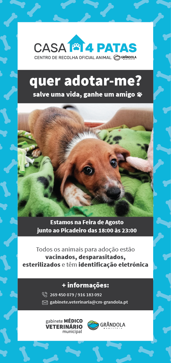 Flyer campanhaadocao 02 1 1024 2500