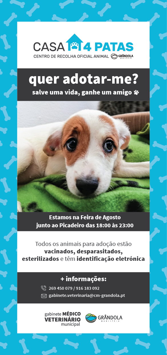 Flyer campanhaadocao 03 1 1024 2500