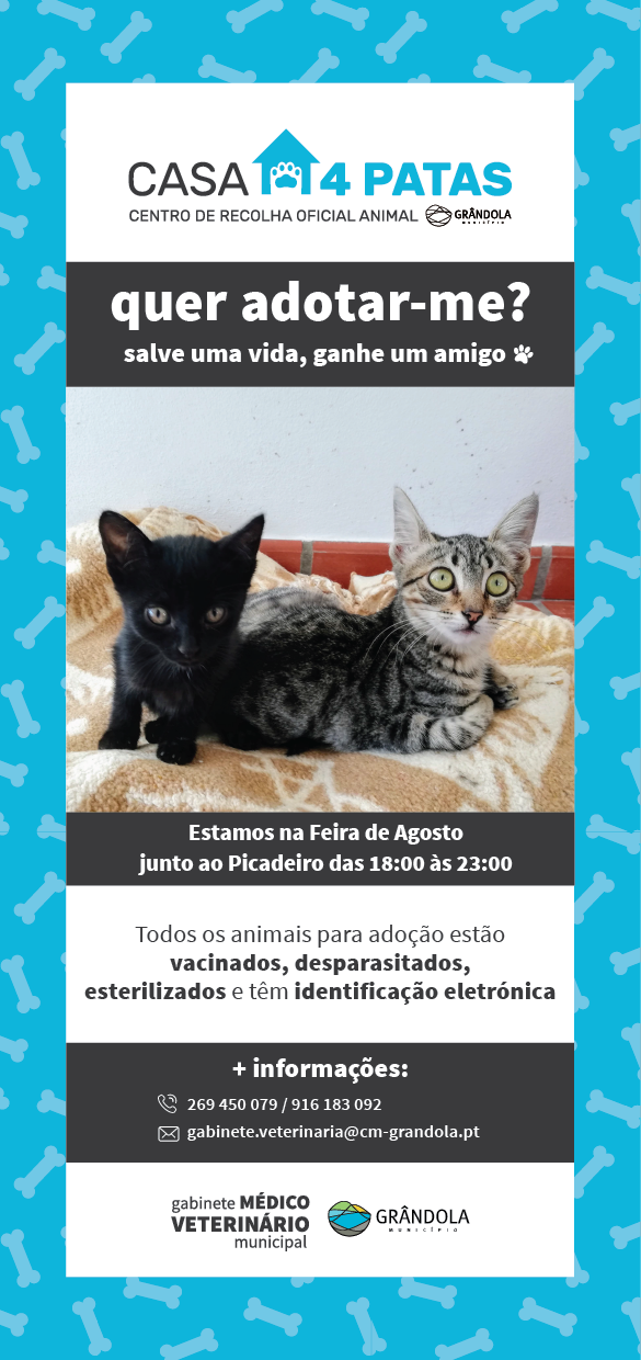 Flyer campanhaadocao 04 1 1024 2500