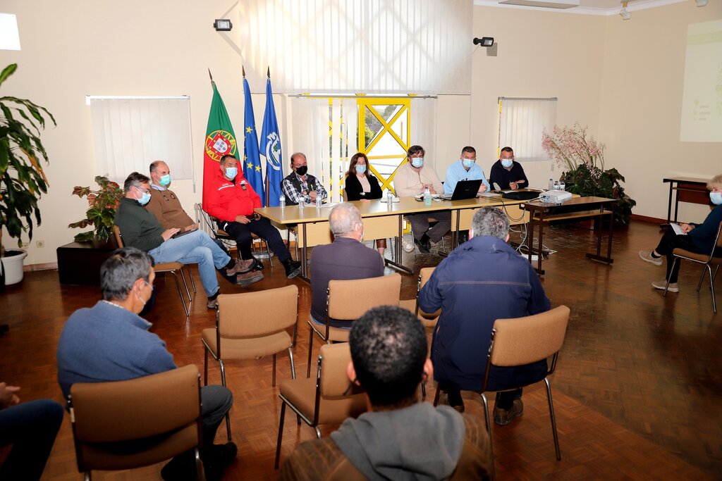 resized_img_7454_1_1
