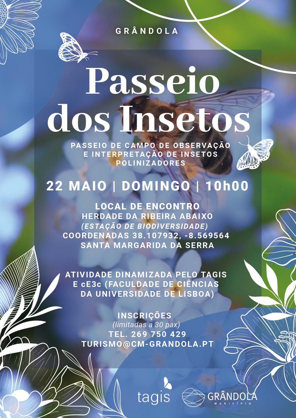 Passeio dos Insetos | Passeio de campo de observação e interpretação de insetos 