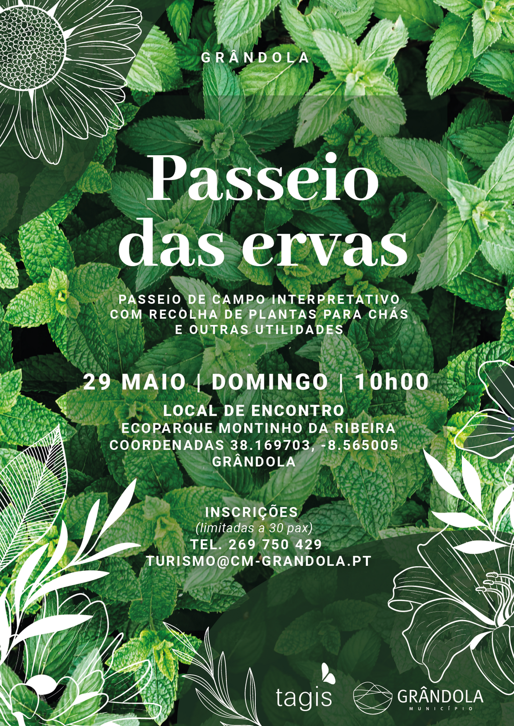 Passeio das Ervas | Passeio de campo interpretativo com recolha de plantas