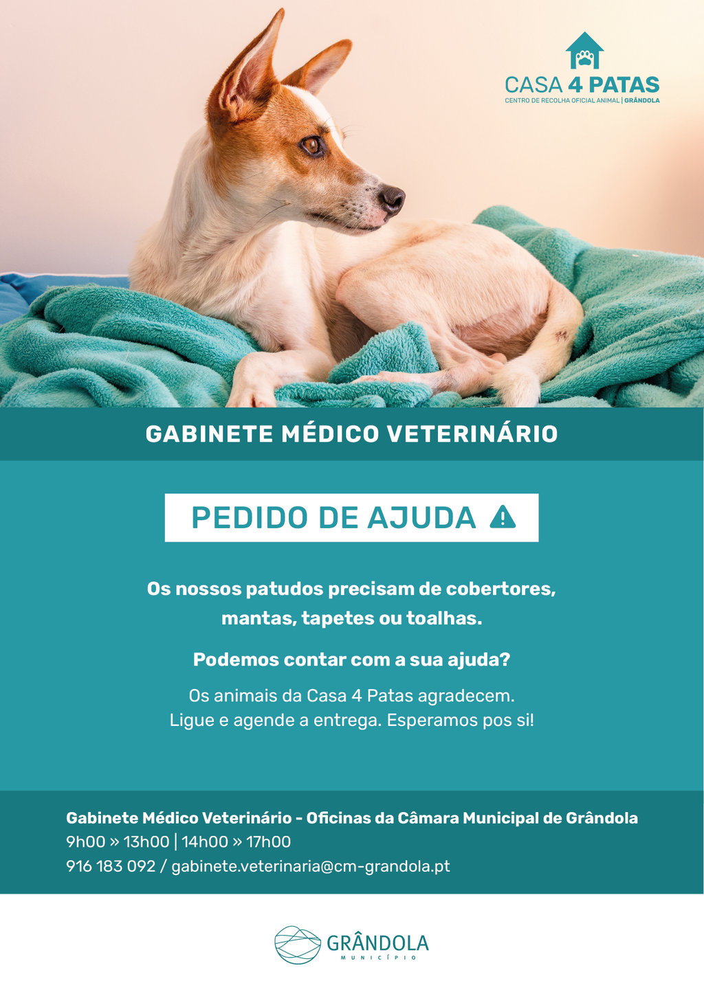 CASA 4PATAS | Pedido de ajuda ! 