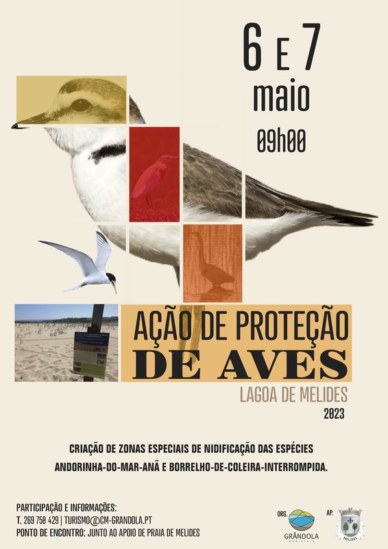 acao_e_protecao_de_aves