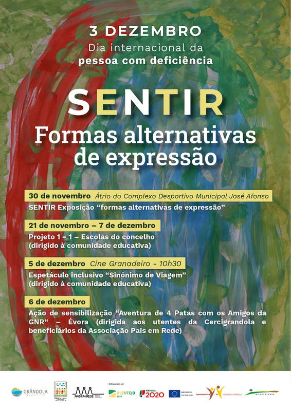 cartaz___diainternacionaldeficiencia_final