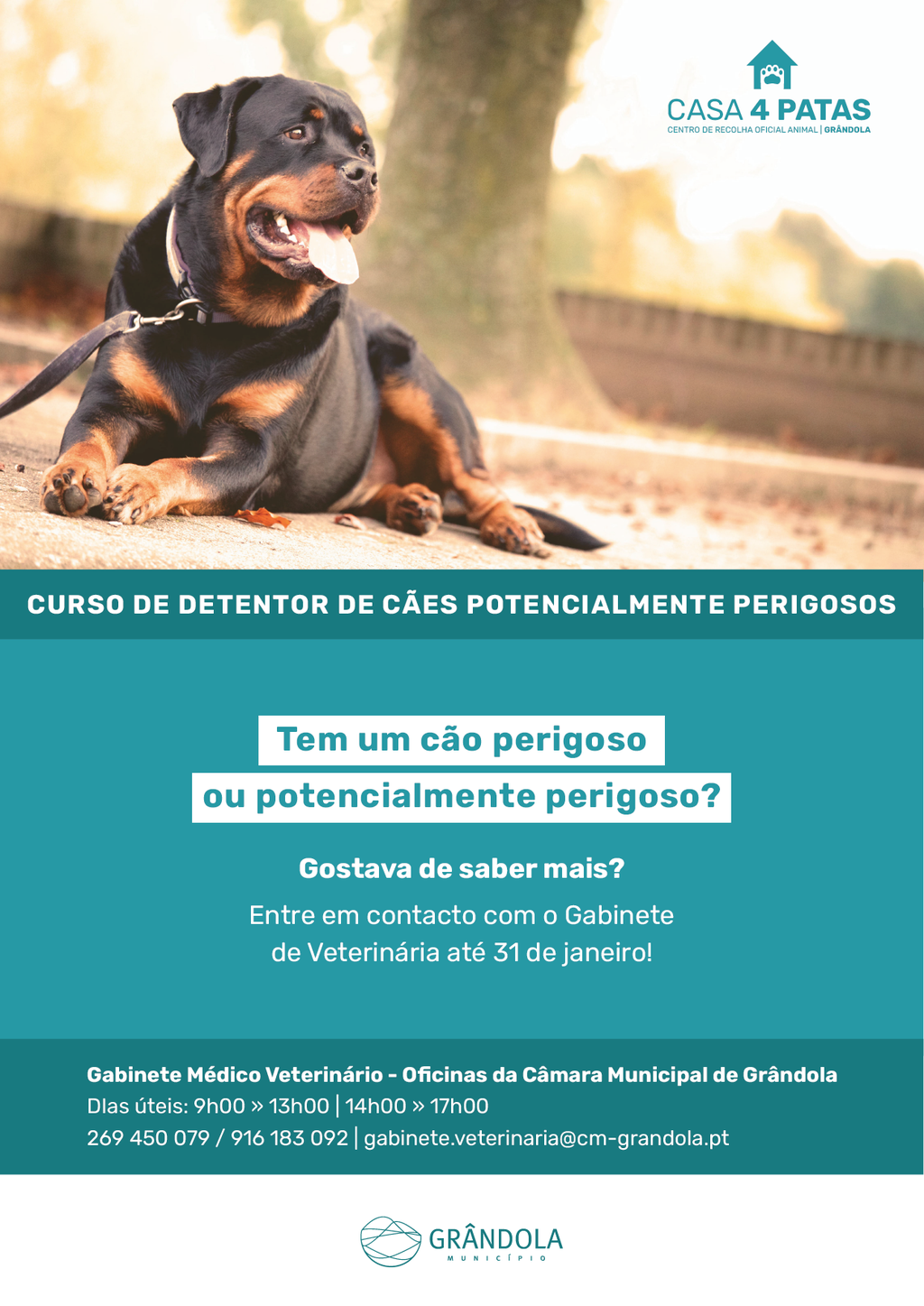 GABINETE VETERINÁRIO | Curso de detentor de cães potencialmente perigosos