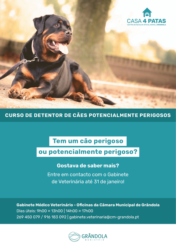 cartaz_a4___caes_perigosos_01