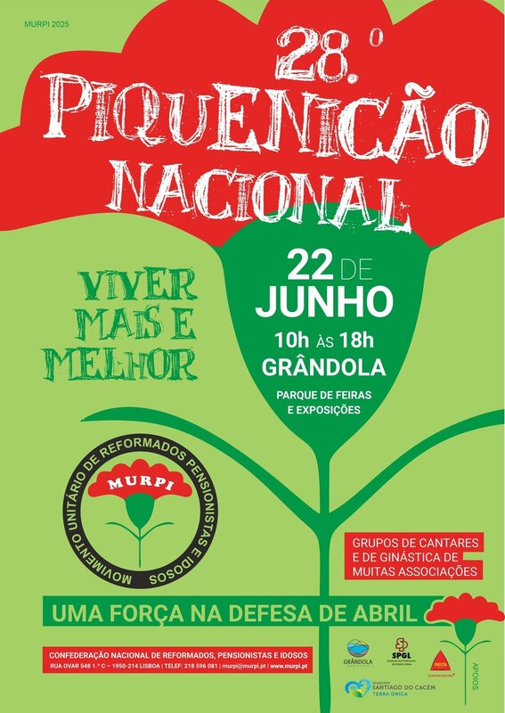 cartaz_piquenicao