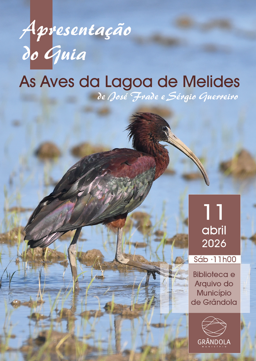 TURISMO | Apresentação pública do Guia «As Aves na Lagoa de Melides» de José Frade e Sérgio Guerr...