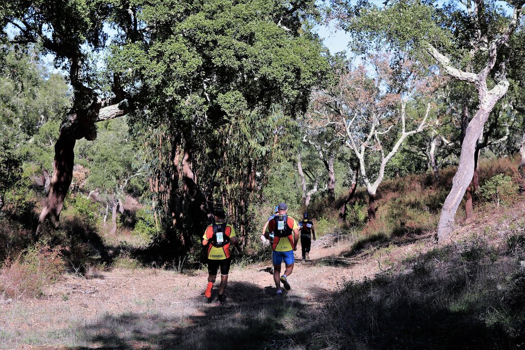 III Ori-Trail Rogaine “Serra de Grândola”