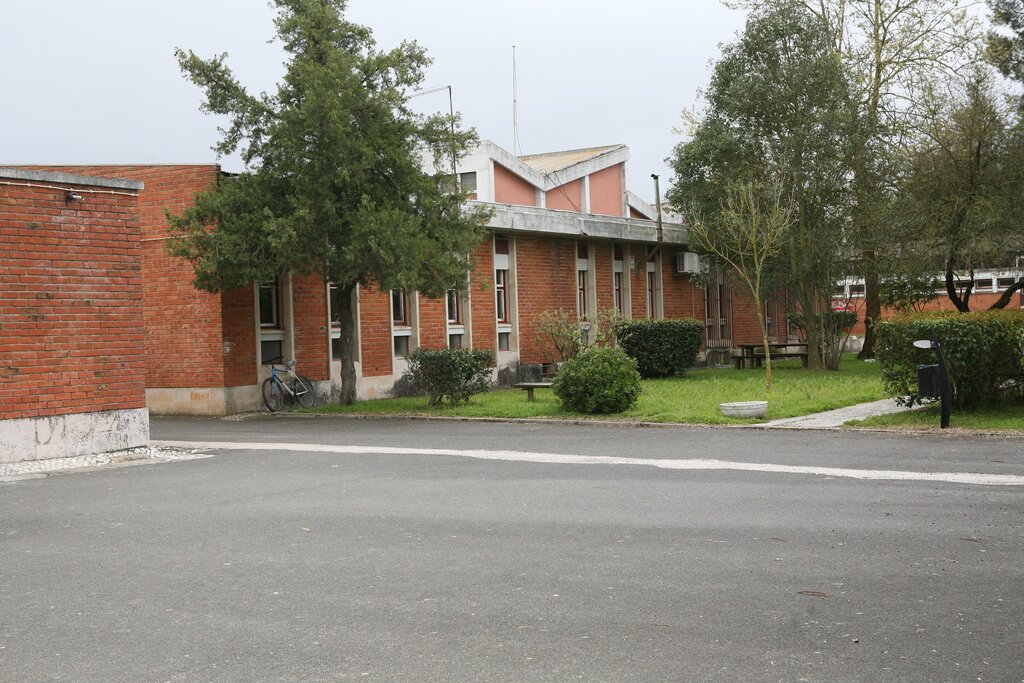 Câmara Municipal de Grândola convida Secretária de Estado da Educação a Visitar a Escola Secundár...