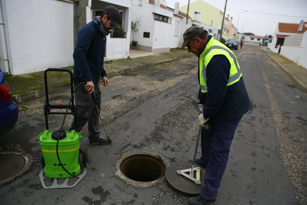 Campanha de desinfestação urbana