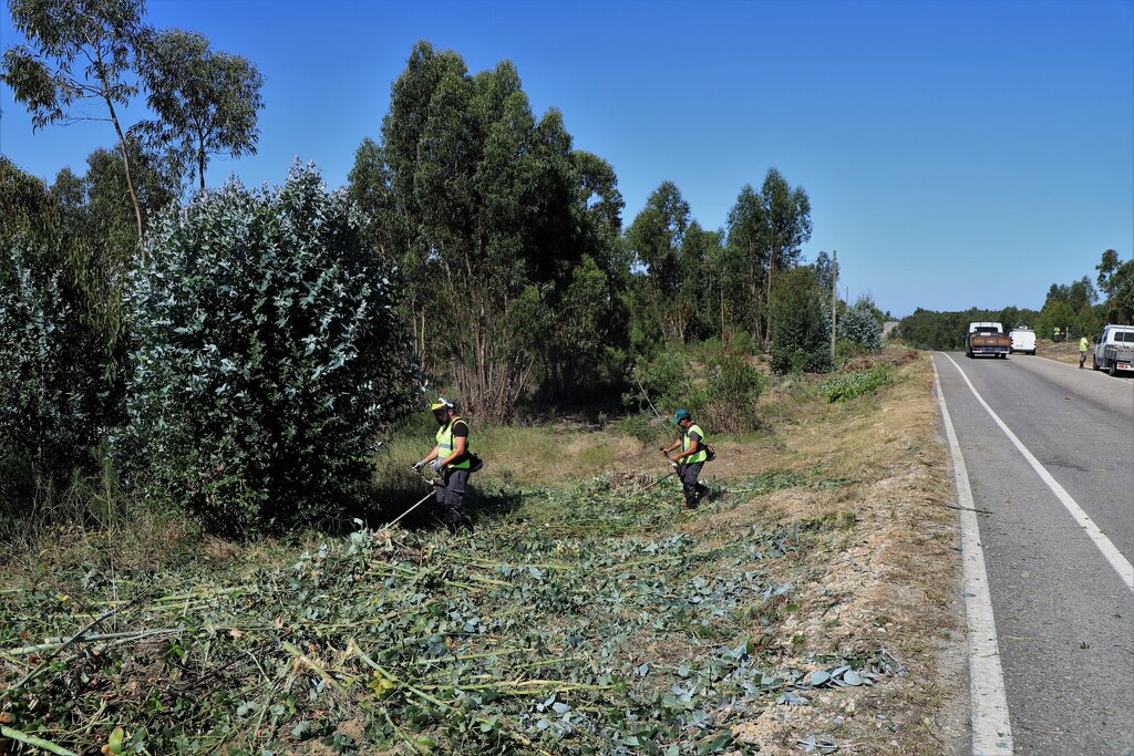 Limpeza das faixas de gestão de combustível continua ser prioridade do Executivo Municipal