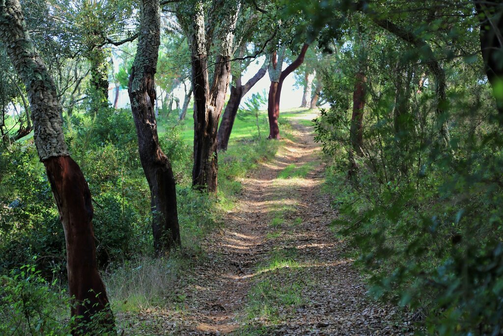 Aprovada candidatura de mais de 245 mil euros para valorização do Turismo de Natureza