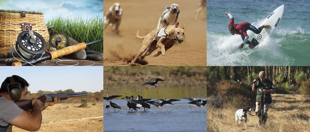 Ar Puro, Feira de Caça, Pesca e Atividades ao ar Livre não vai realizar-se