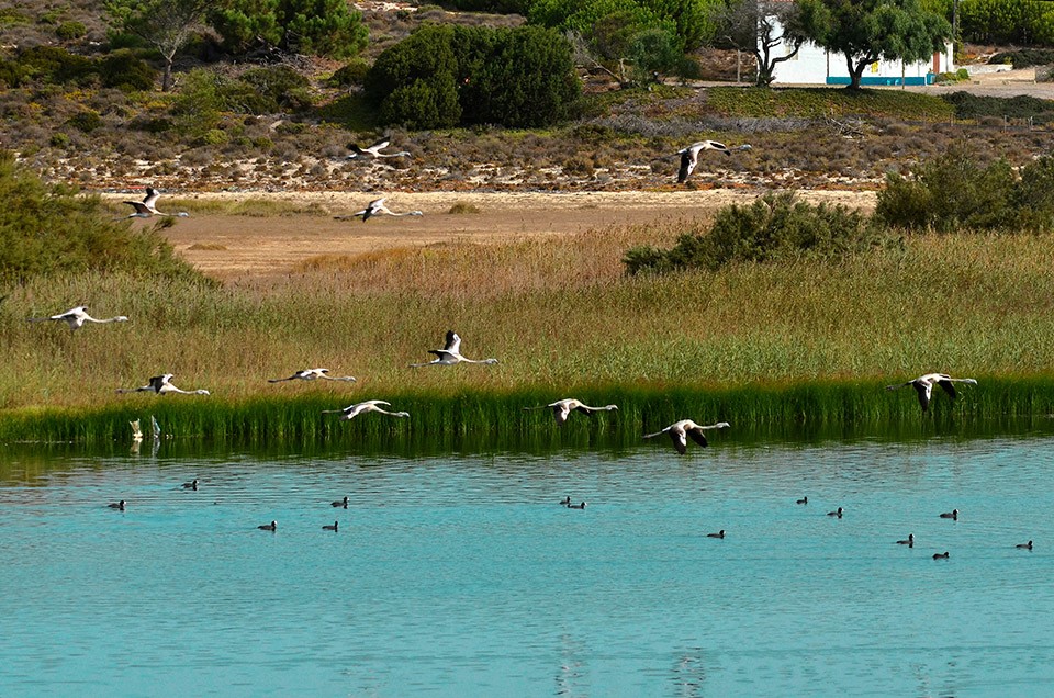 Município de Grândola associa-se às comemorações do Dia Mundial do Turismo