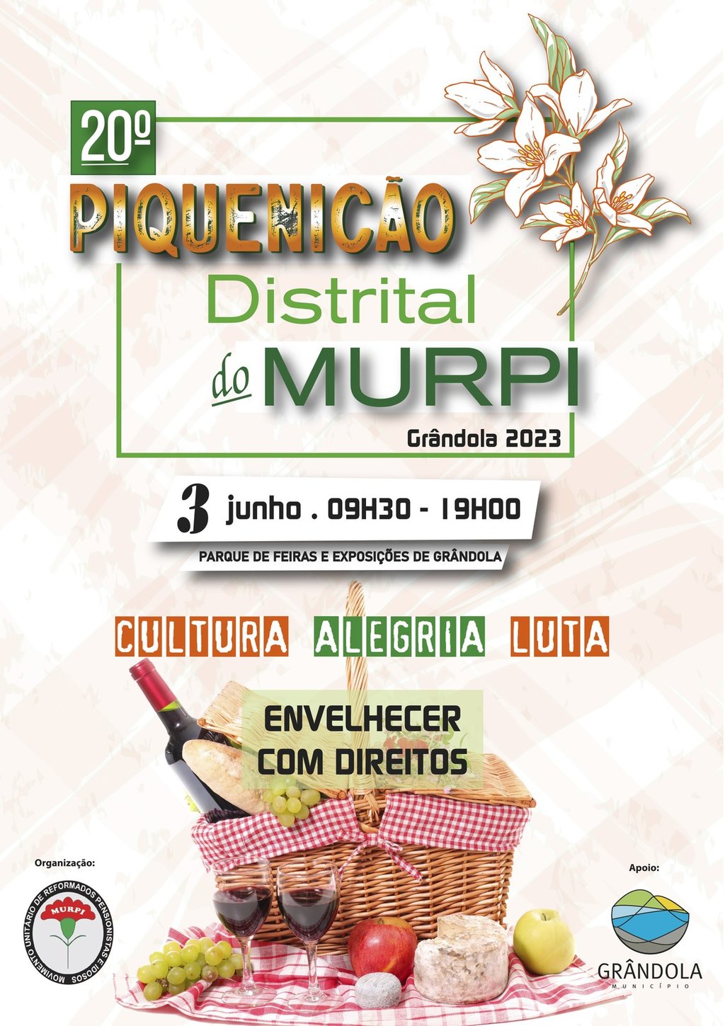 Piquenicão Distrital do MURPI junta mais de 600 pessoas em Grândola