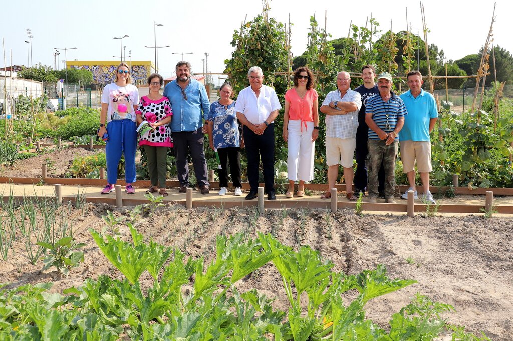 Já foram atribuídas todas as parcelas da 1ª fase das Hortas Comunitárias de Grândola