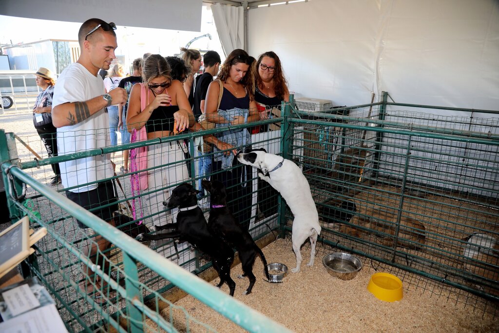 Casa 4 Patas cada vez mais presente e mais ativa no concelho 