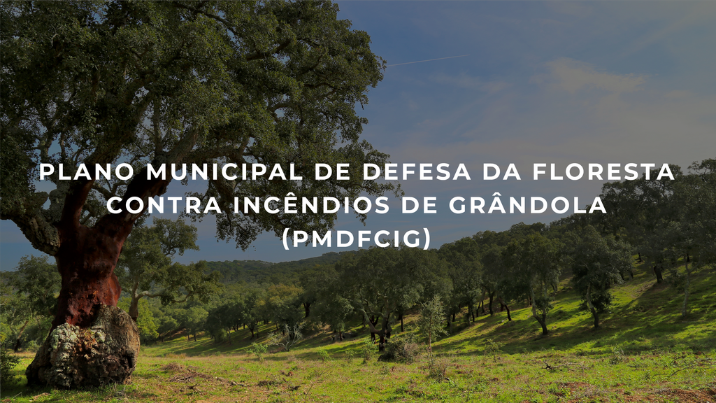 Plano Municipal de Defesa da Floresta contra Incêndios de Grândola