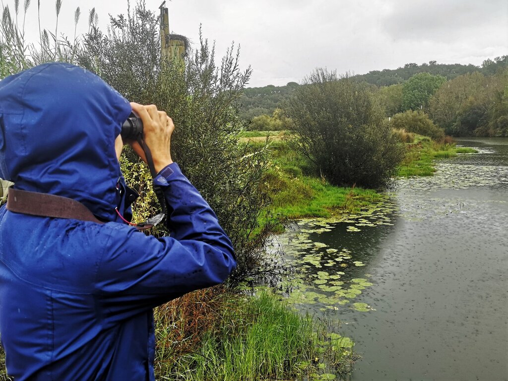 Nature Weekend | 3.ª edição promove a avifauna em Melides e Tróia