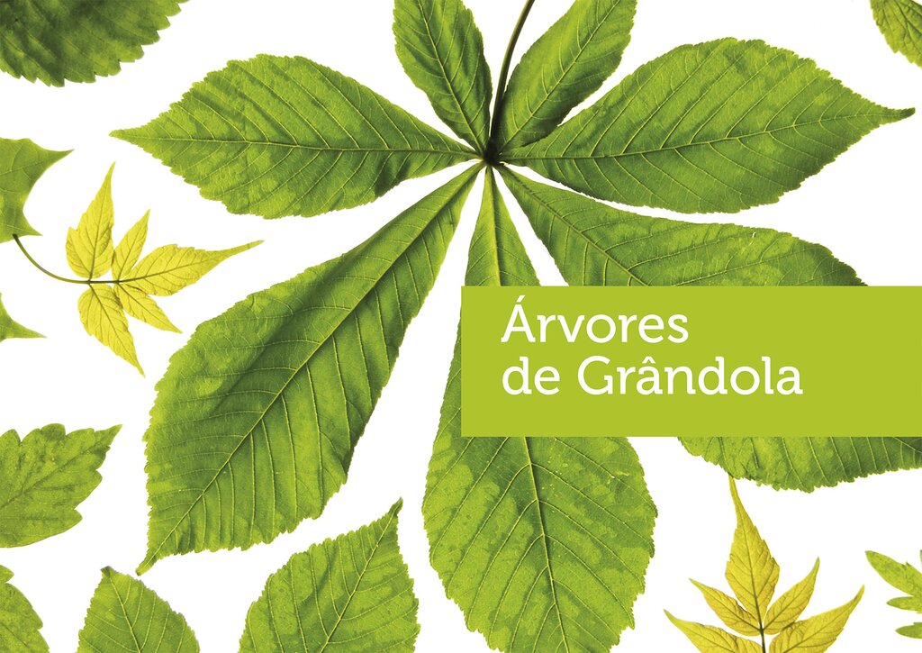 Grândola comemora Dia da Árvore com ação de sensibilização