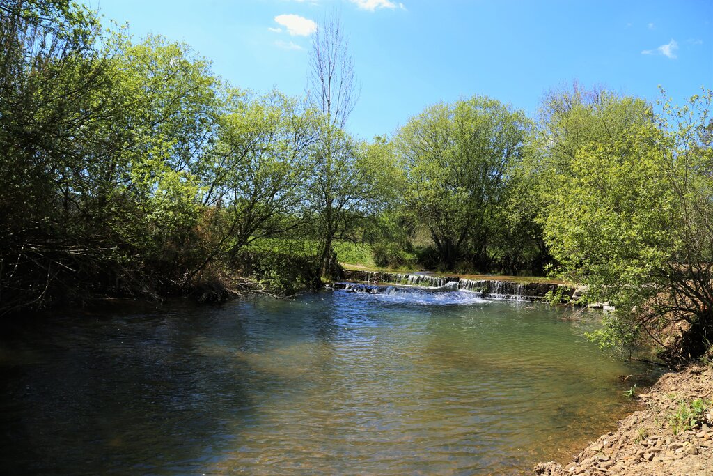 Eco Parque Montinho da Ribeira      