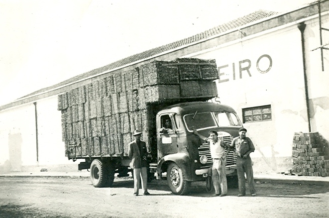 Feira de Agosto apresenta exposição sobre o Pinhal e o Montado do Concelho