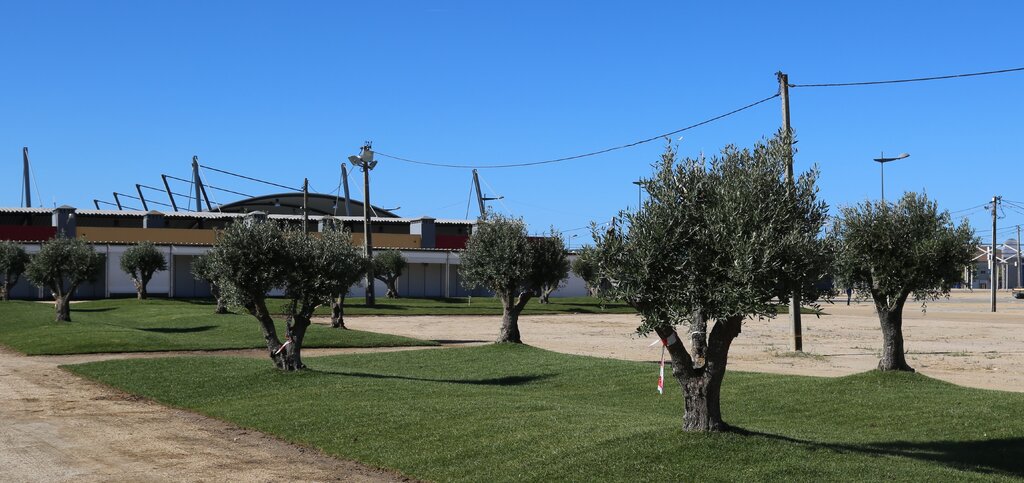 Feira de Agosto - Jardim das Oliveiras: O novo espaço verde da Praça Rural