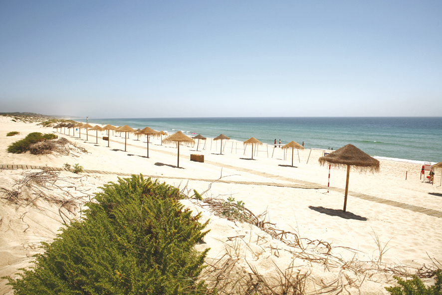 Praias de Grândola com Qualidade de Ouro pela Quercus